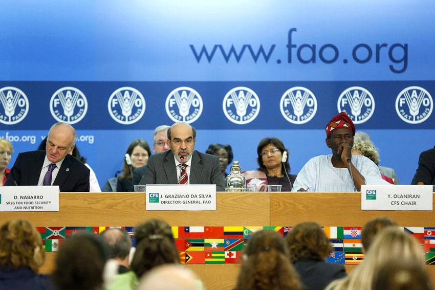 10 07 2013 grazianofao 2